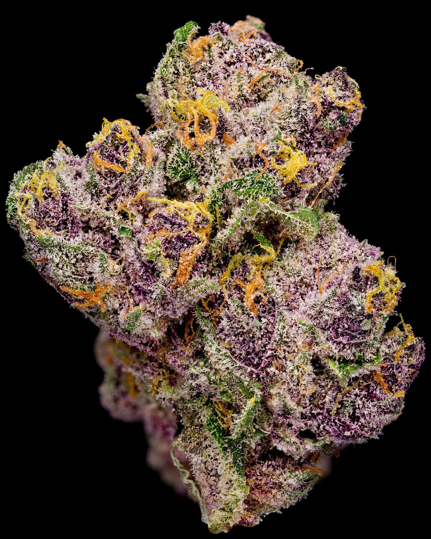 CannaPrints.ca - Fine Art Cannabis Prints. Elevating Modern Living Spaces