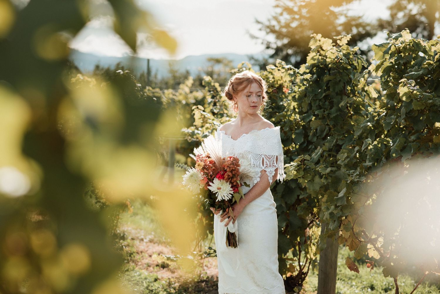 Bride holding red bouquet poses in vineyard during golden hour.