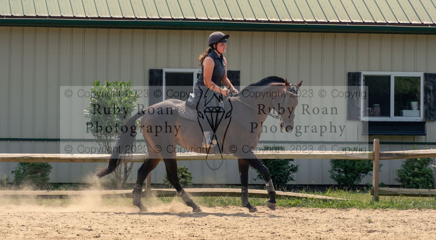 girl on brown horse cantering to the right