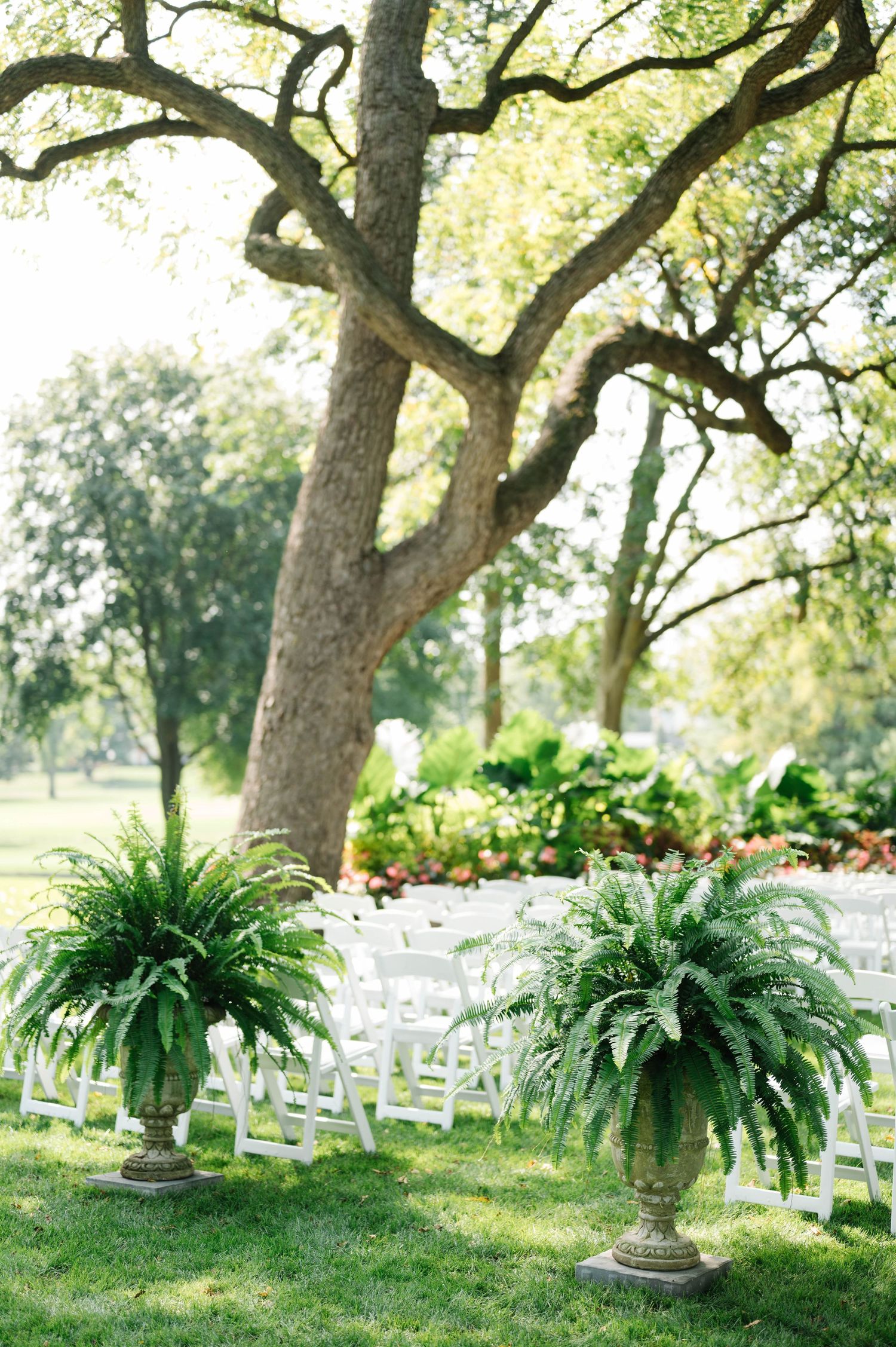 Tropical Wedding at Bloomington Country Club | Candace Sims Chicago Luxury Fine Art Wedding Photographer