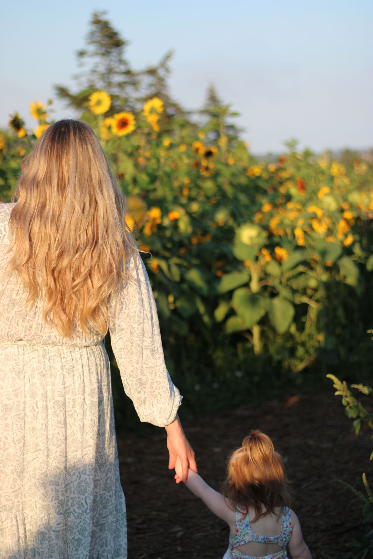 Mother and daughter in sunflower field Client closet by Spruce and Meadow Photography
