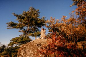 Autumn sunset view of a rocky cliff with colorful fall foliage and evergreen trees.