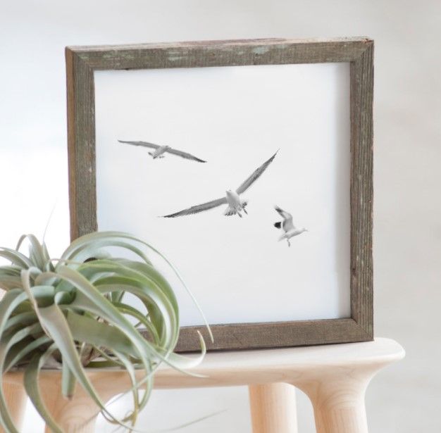 Rustic framed artwork showing three flying seagulls with an air plant displayed below.