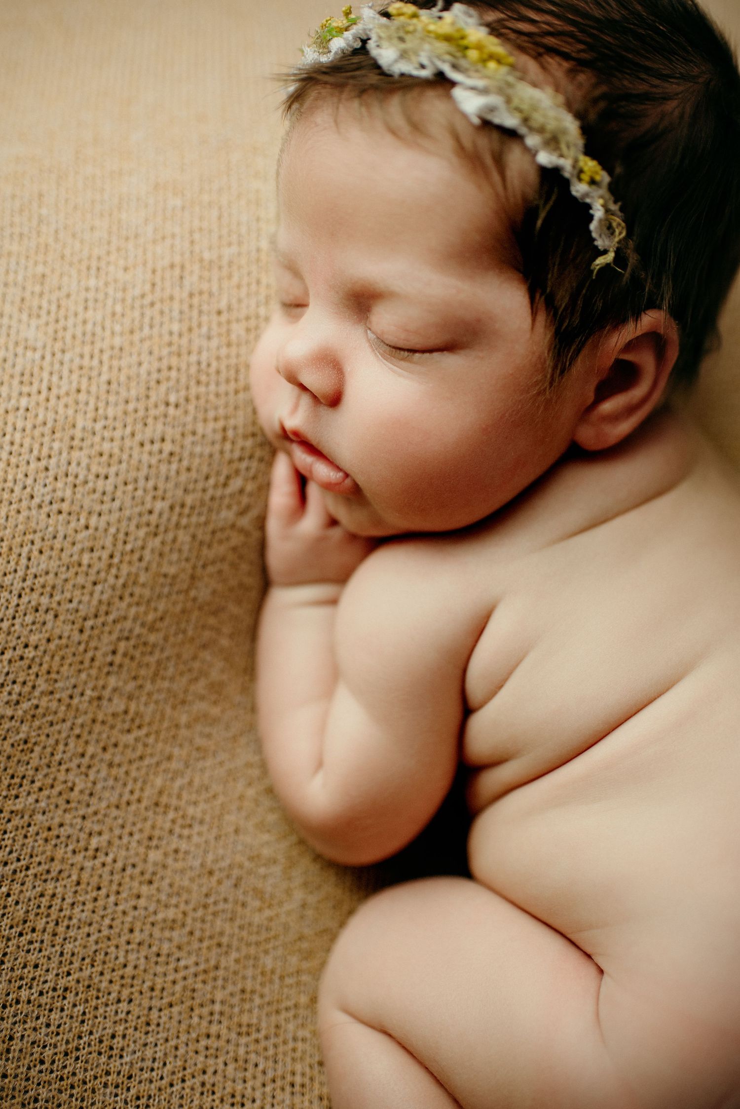 WNY FAMILY PHOTOGRAPHER, ROCHESTER FAMILY PHOTOGRAPHER, BUFFALO NY FAMILY PHOTOGRAPHER, BUFFALO STUDIO PHOTOGRAPHER