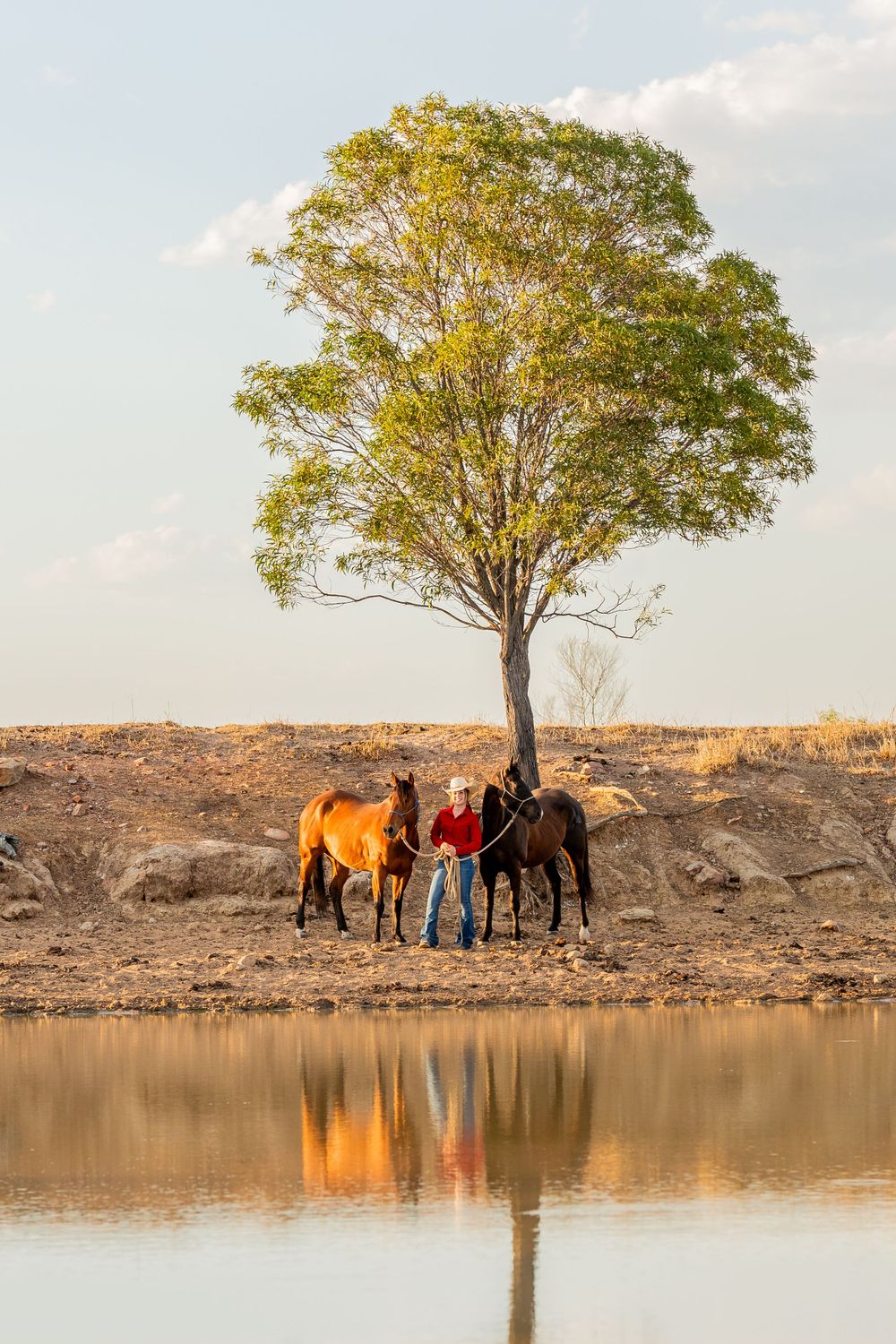 Two horses and companion stand beneath lone tree by reflective waterhole.