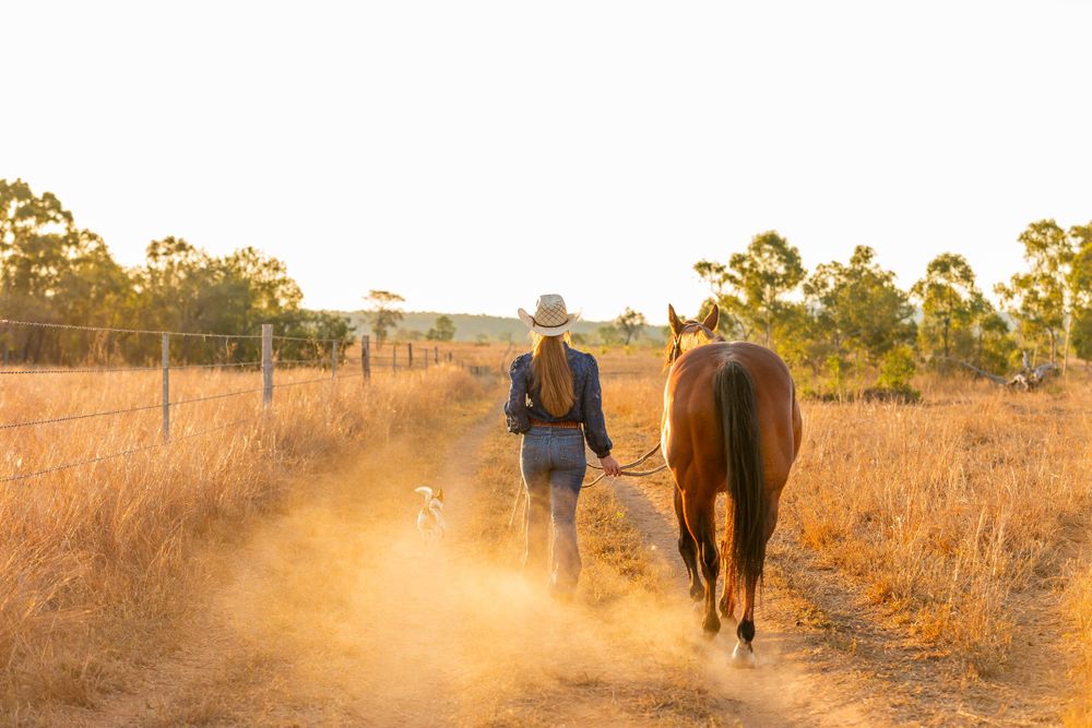Horse and companion walking along dusty trail at sunset in rural landscape.