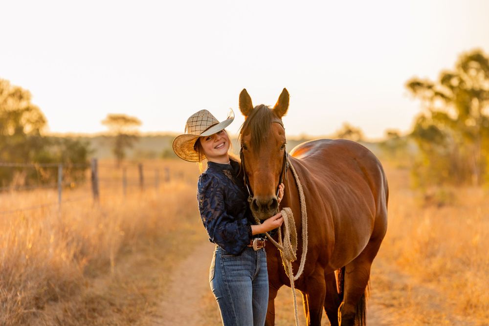 Beautiful brown horse and companion standing in golden sunlit field at sunset.