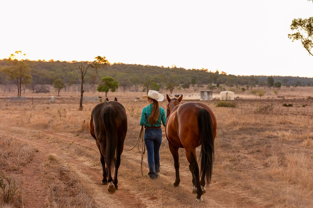 Walking with two horses on a rural dirt path at dusk.
