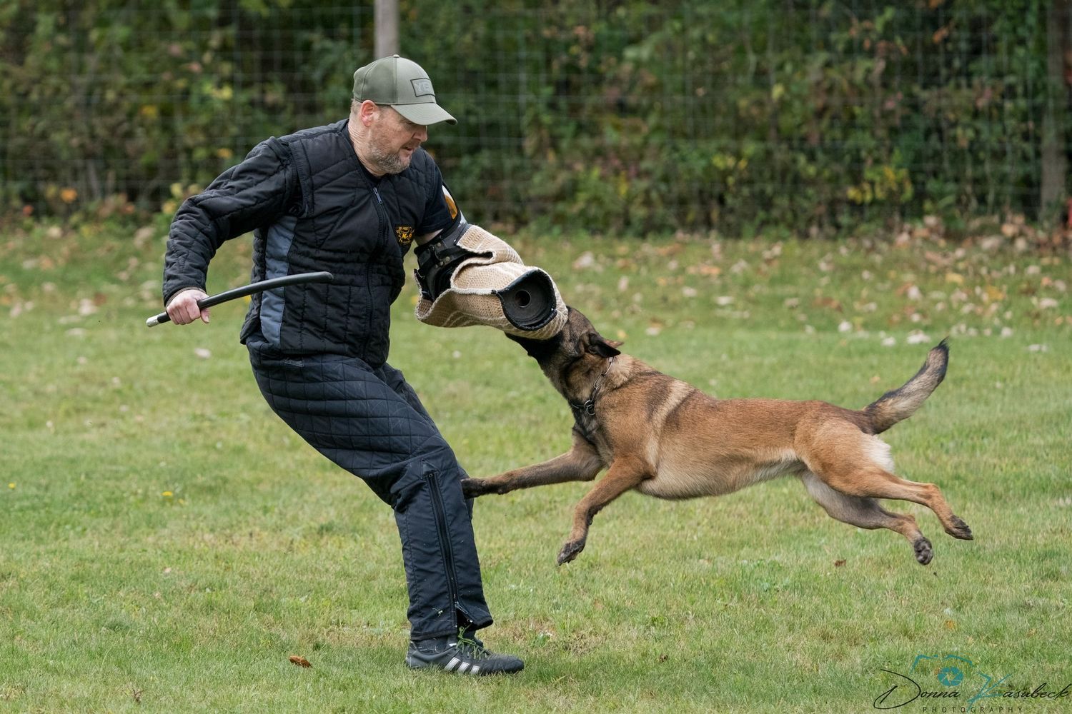 IGP Protection Dogs