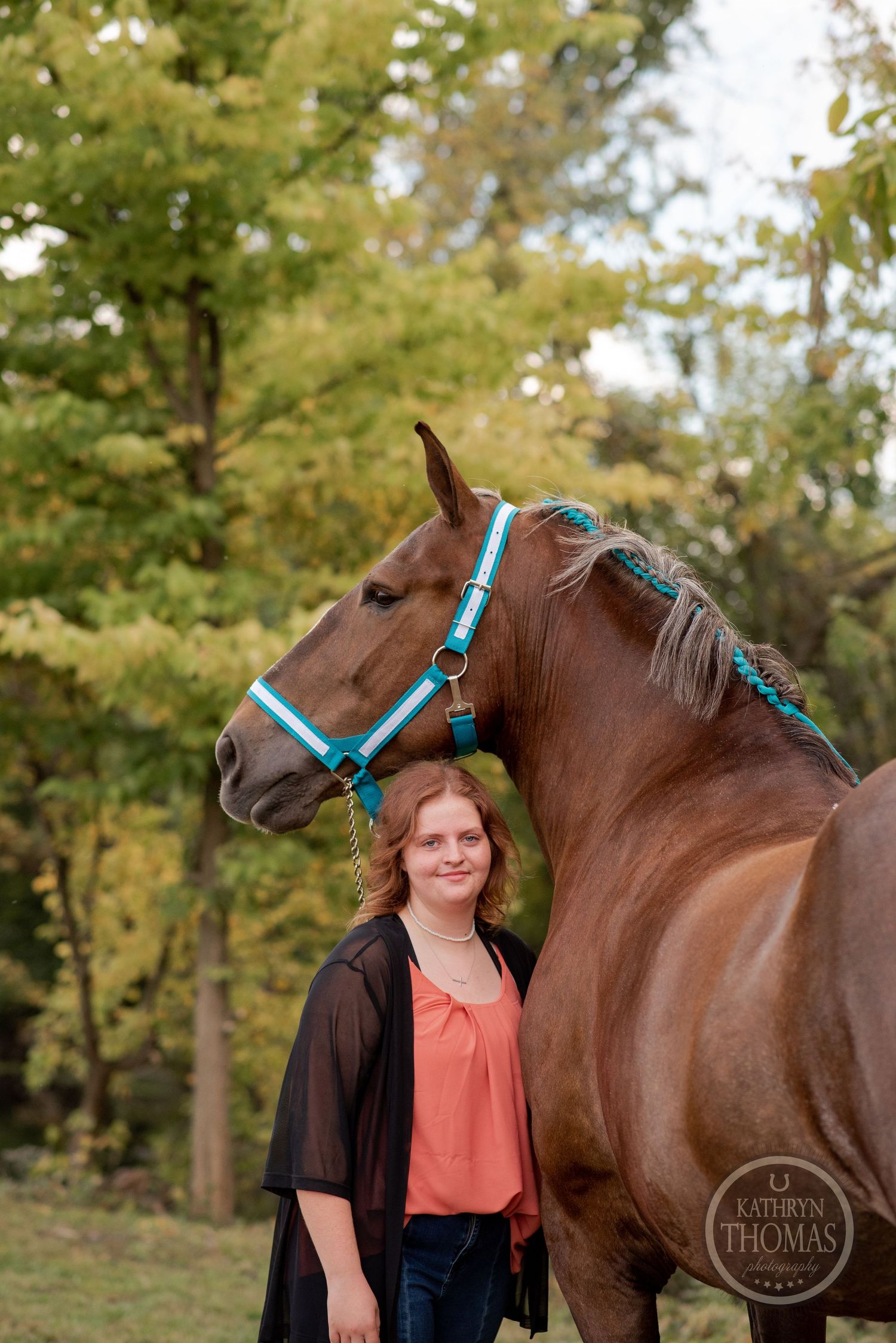 A brown horse wearing turquoise tack stands in front of autumn trees.