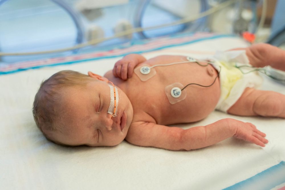 NICU Photos Rochester NY