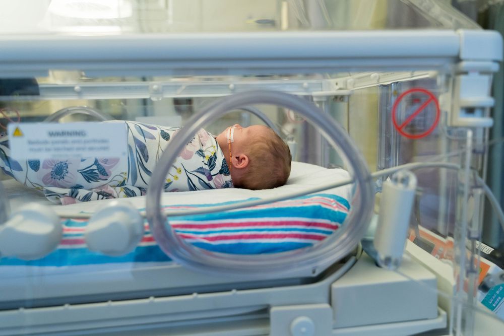 NICU Photos Rochester NY