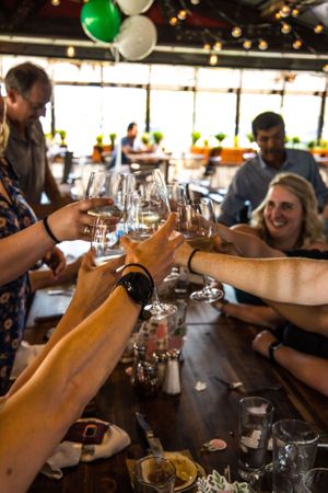 celebrating engagement