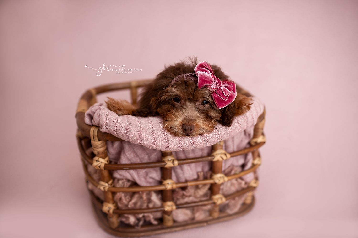 Chillicothe Ohio Newborn Photographer