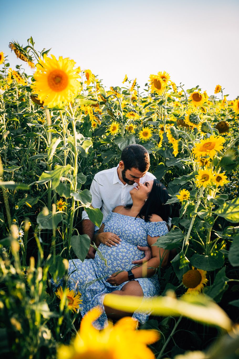 Romantic maternity photo session in blooming sunflower field during sunset.
