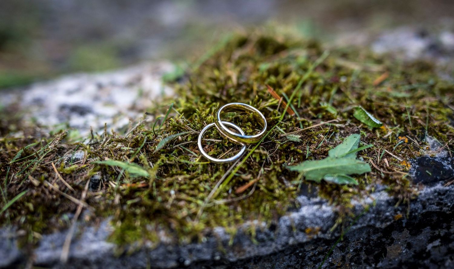 Close-up shot of wedding rings resting on moss with shallow depth of field.