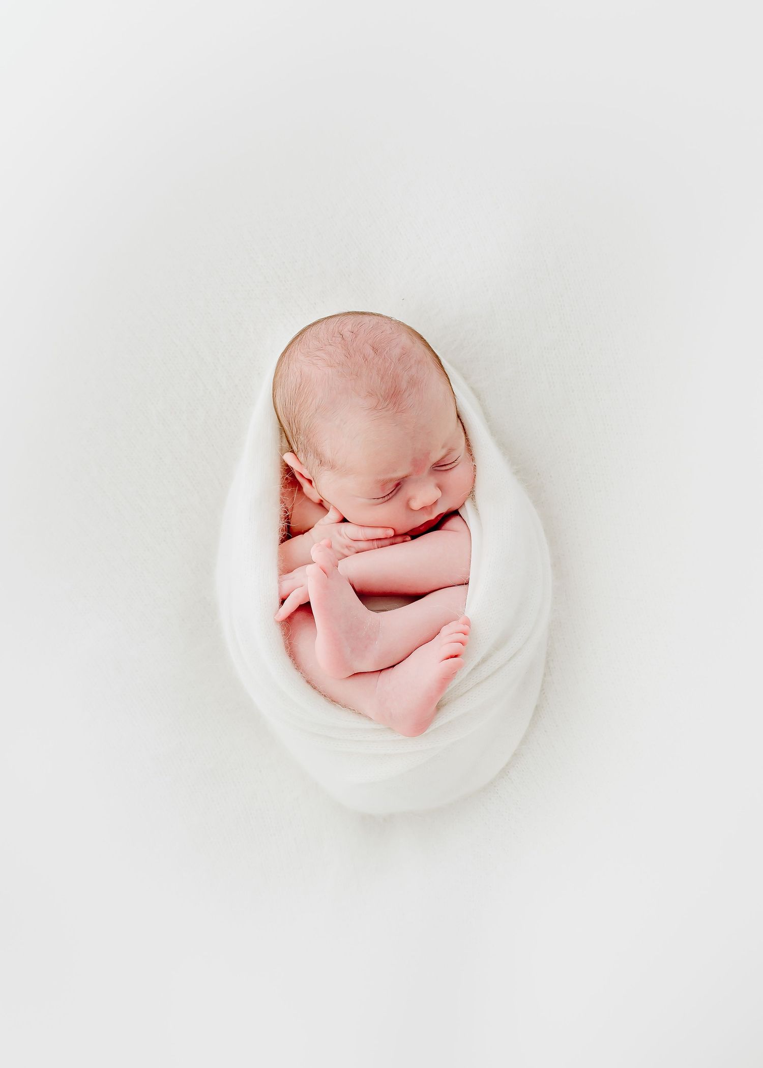 natural light white elegant newborn studio houston newborn photographer