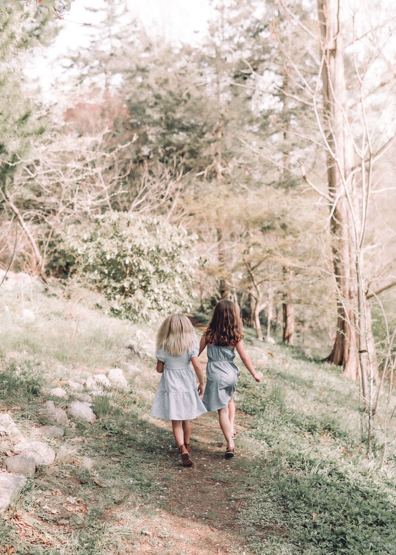 Two people walking together on a scenic forest trail surrounded by trees.