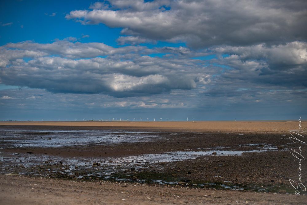 Mersea Nature Walk