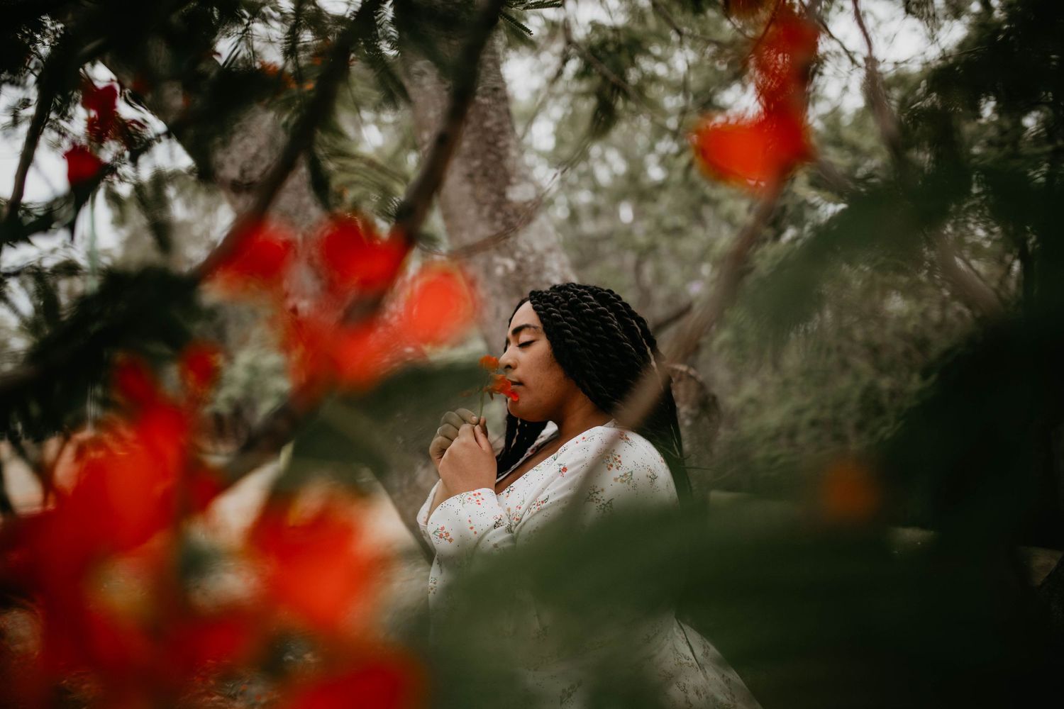 Woman standing amongst Ixora chinensis tree in Wacol Brisbane