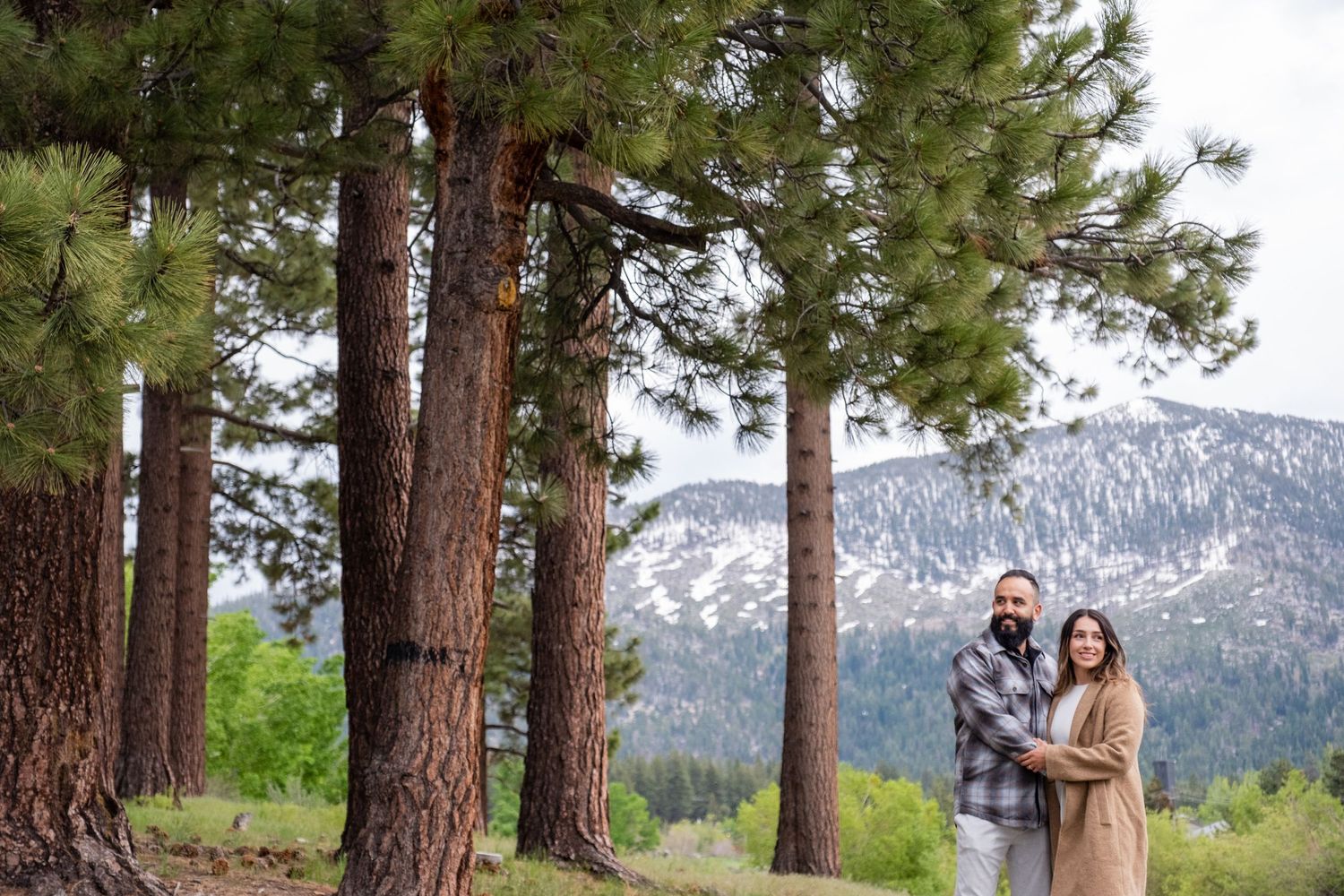 A couple stands between tall pine trees in the mountains with snowy peaks visible in the background.