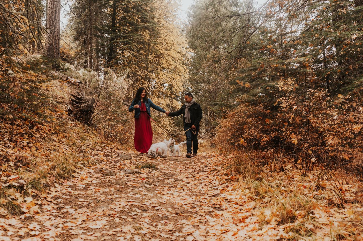 Autumn forest path with golden leaves and tall trees creating a natural tunnel.