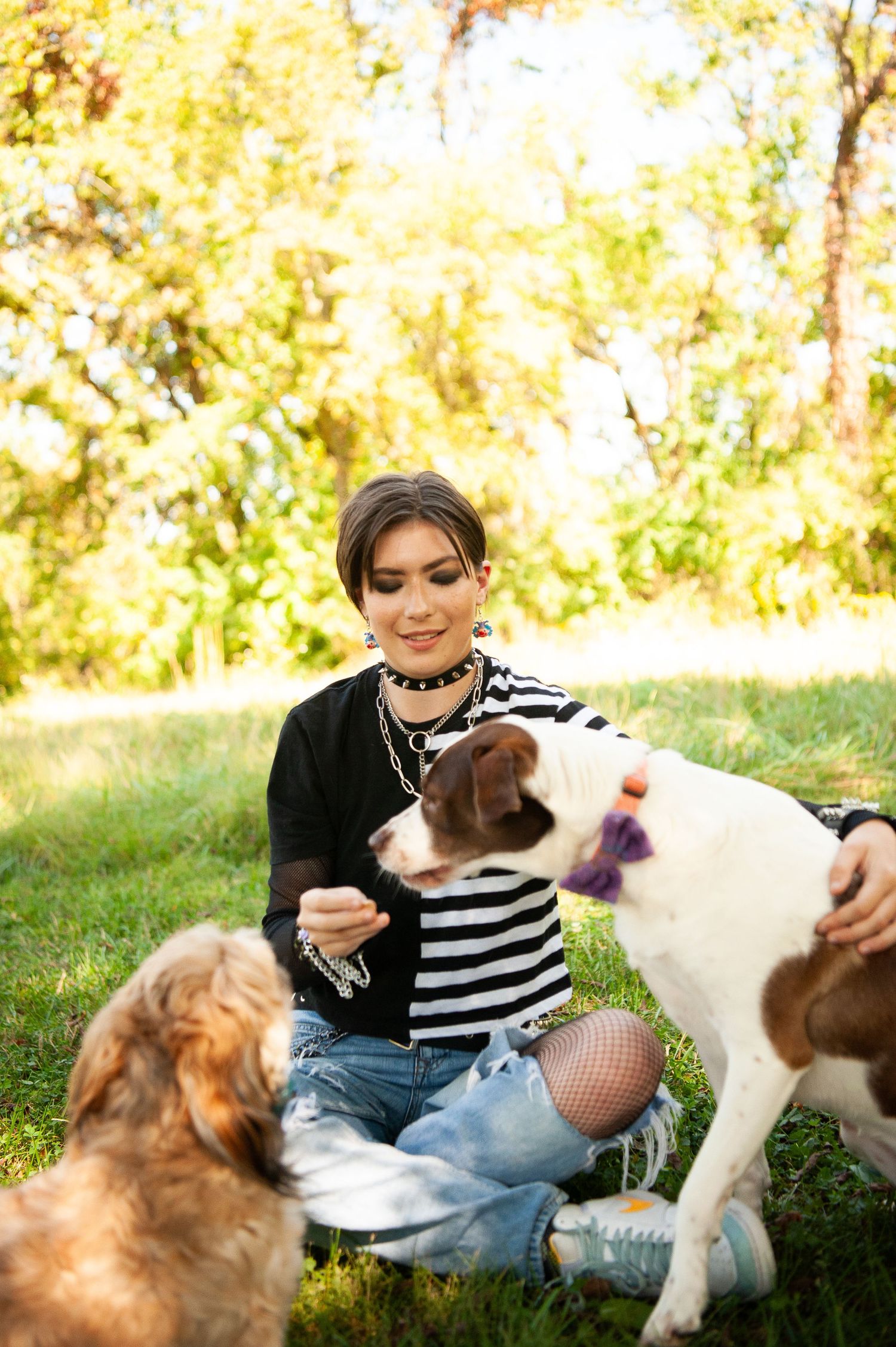 Two dogs interacting with someone in a striped shirt sitting on grass in an autumn setting.