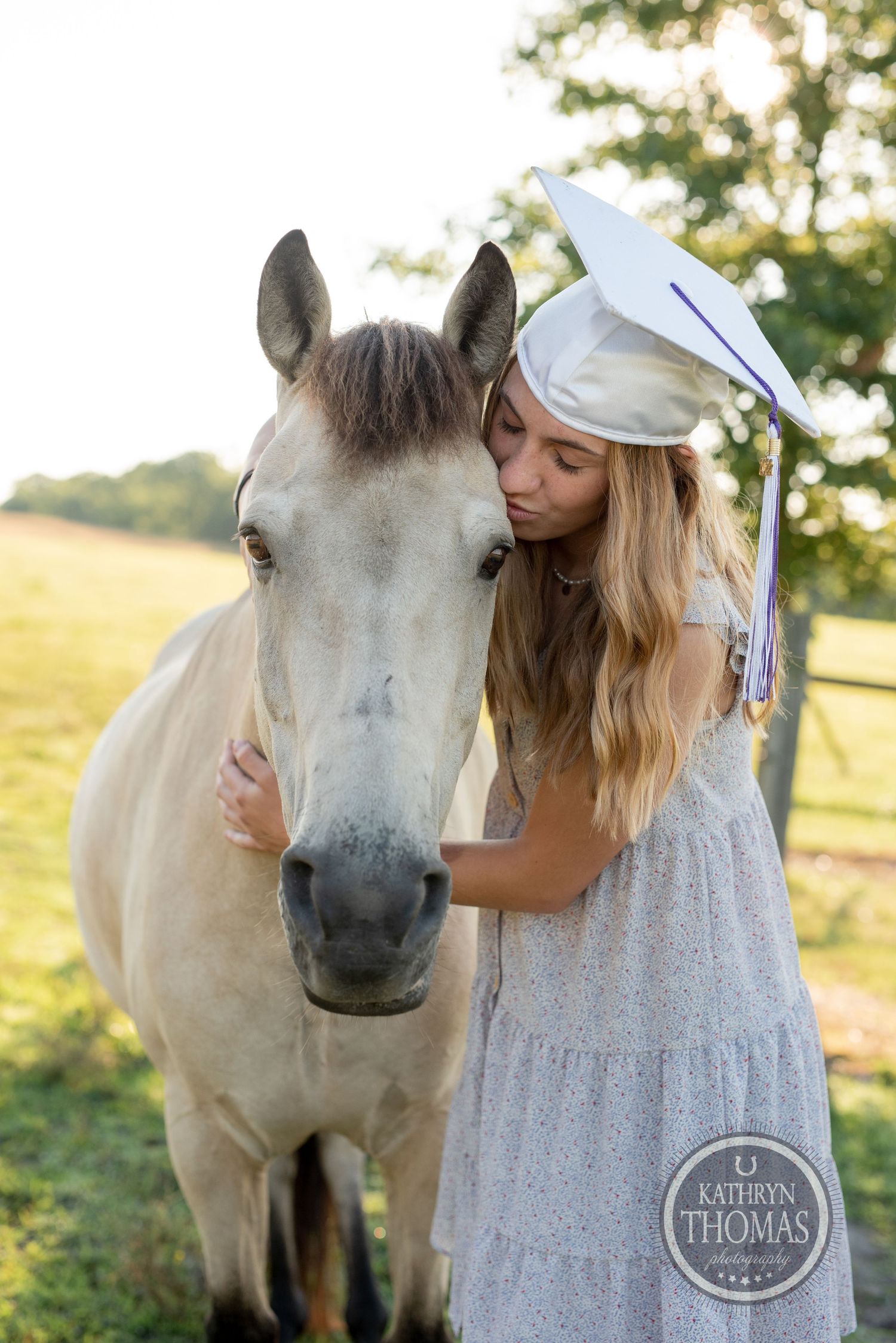An intimate moment between a graduate and white horse in golden evening light.