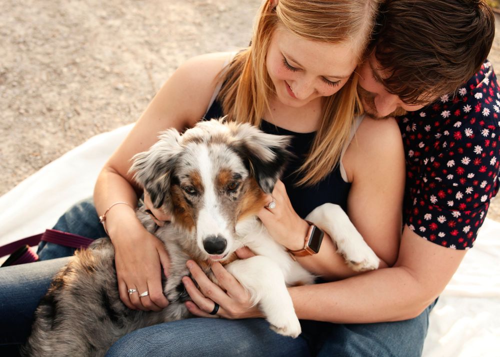 Couple cuddling with their pet rabbit on a blanket during an outdoor photoshoot.