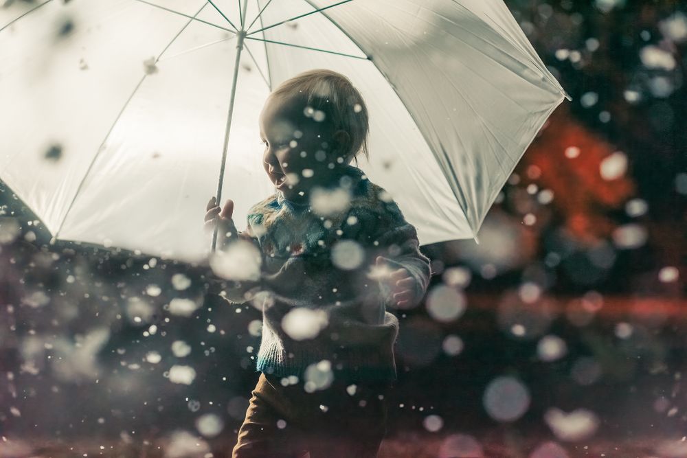 Winter Wonderland Mini Sessions