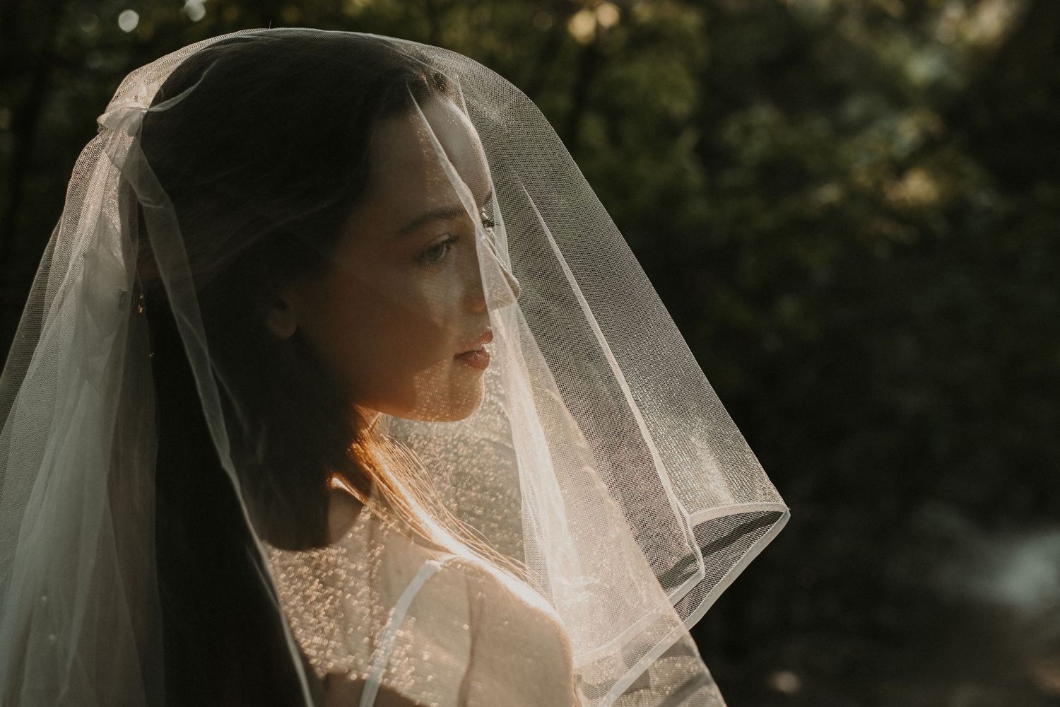 Ethereal bridal portraits with delicate veil details in soft natural light.