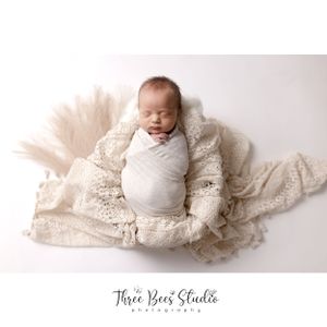 newborn pictures brighton