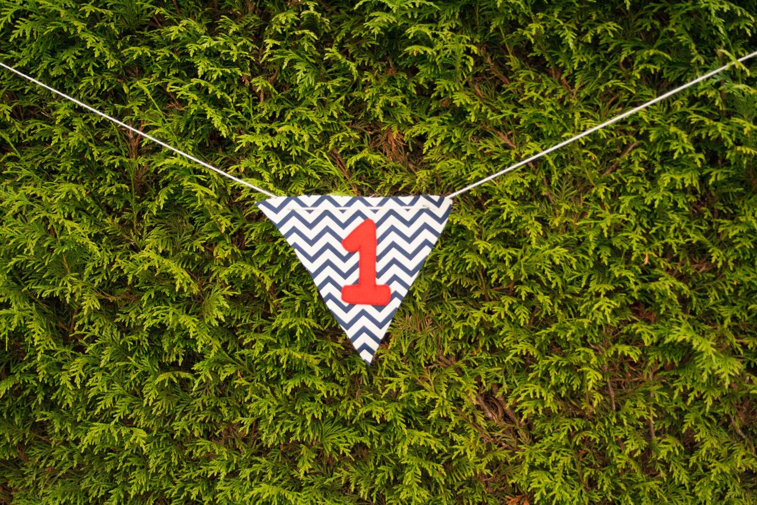 Chevron patterned triangle banner with red arrow hanging against lush green foliage background.