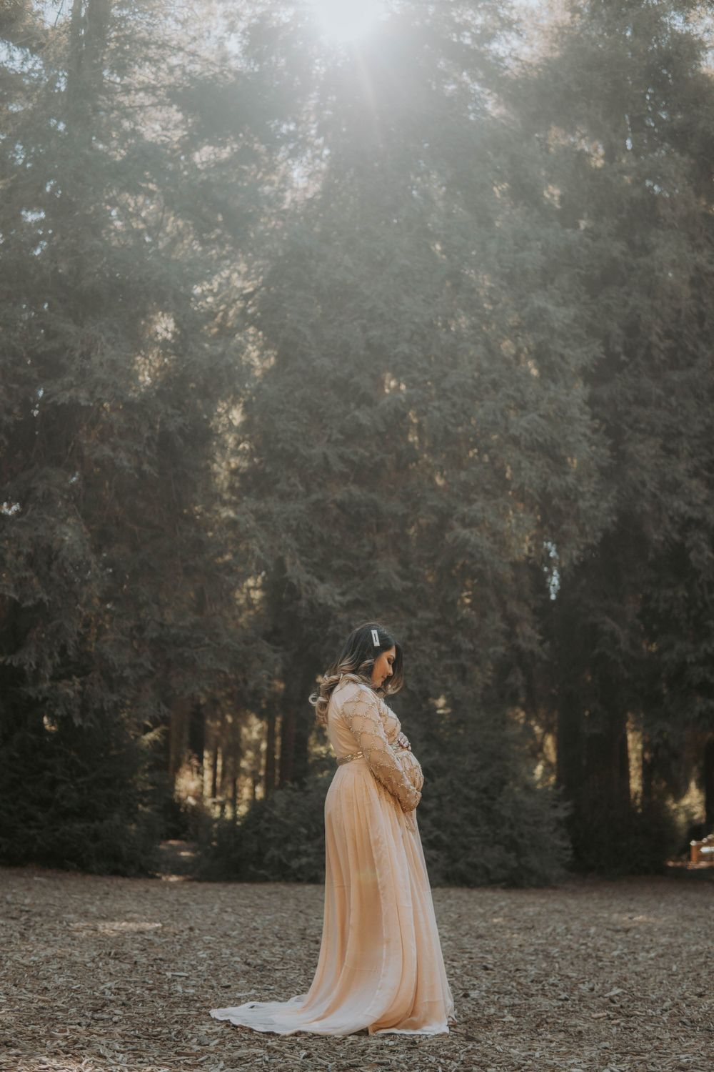 Ethereal forest setting with sunlight filtering through trees creating a magical atmosphere.