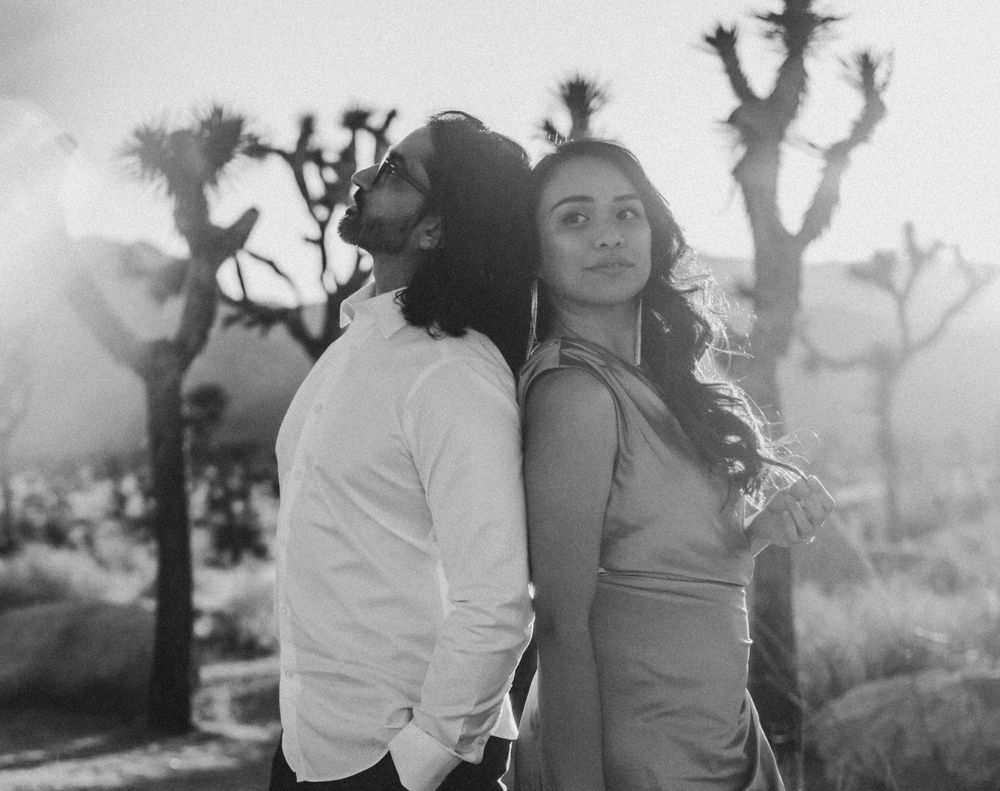 Desert landscape photoshoot at sunset with Joshua trees creating dramatic silhouettes.