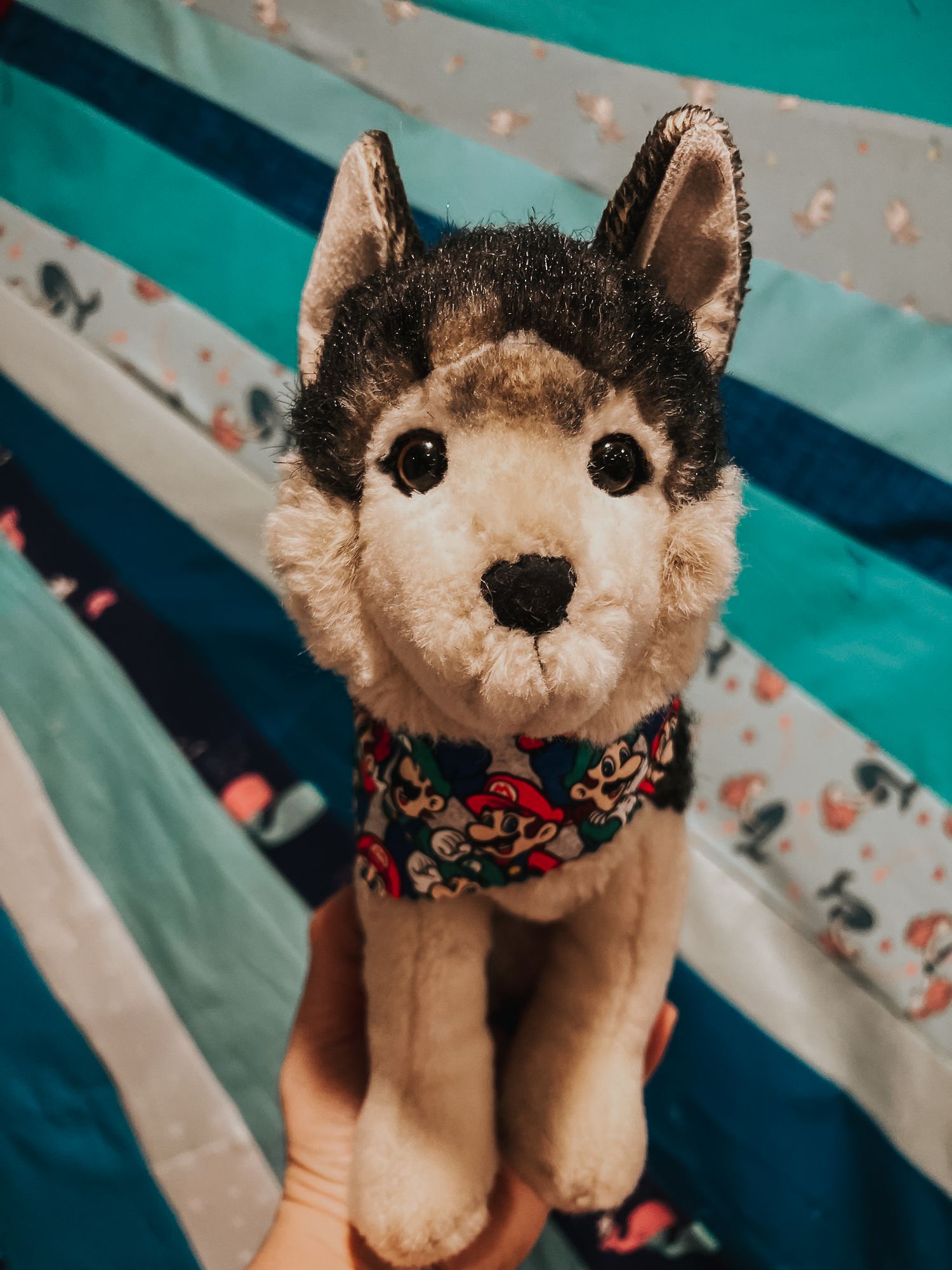 Colour image of a stuffed Douglas Toys Wolf wearing a Mario and Luigi bandana with a portion of mixed blue quilt behind.