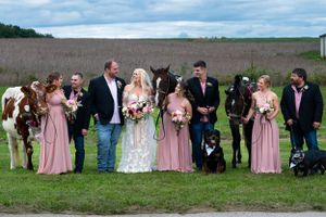 A wedding party poses outdoors with horses and a black dog in a rural setting.