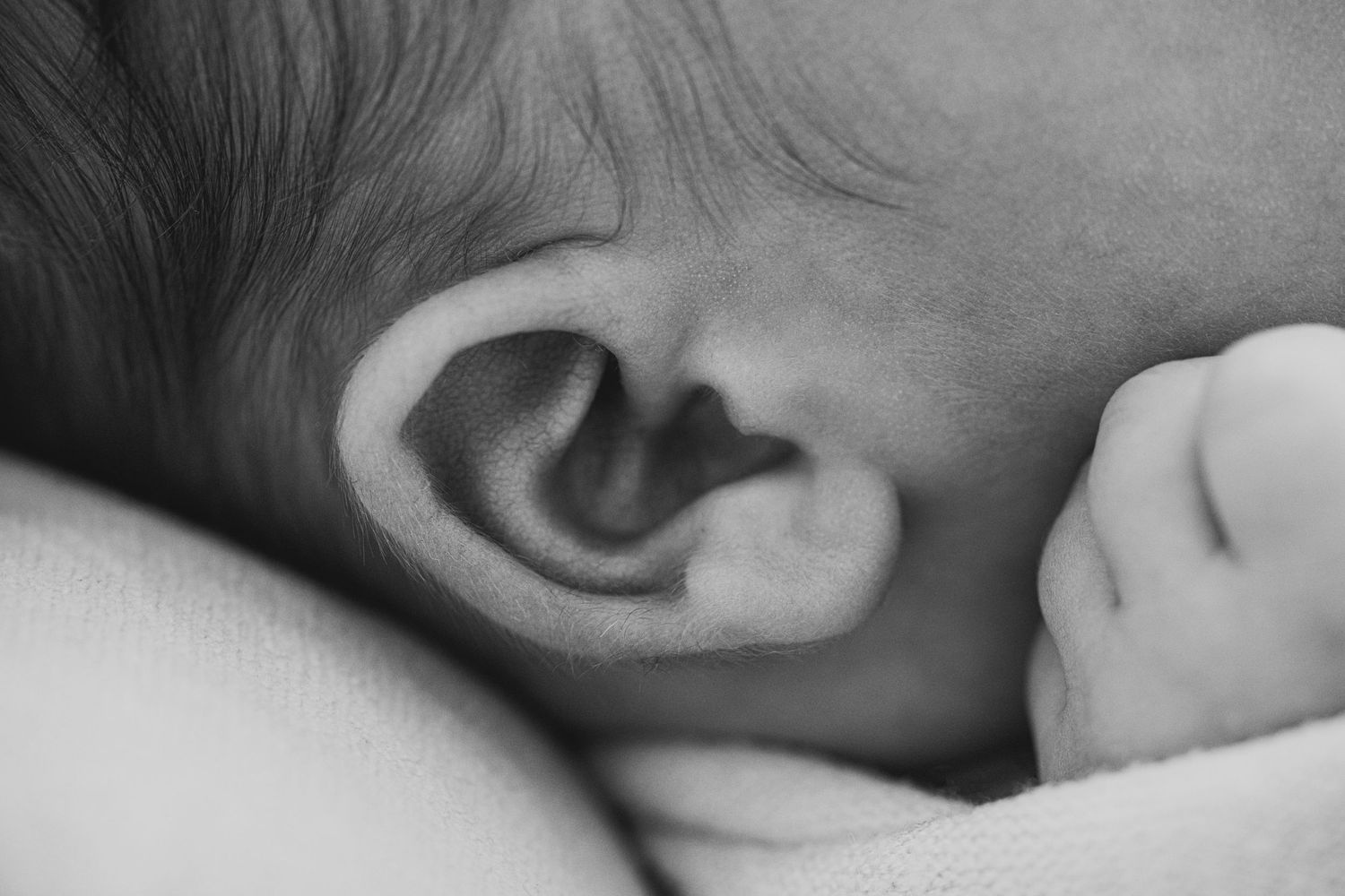 Close up black and white photo of tiny sleeping baby ear.
