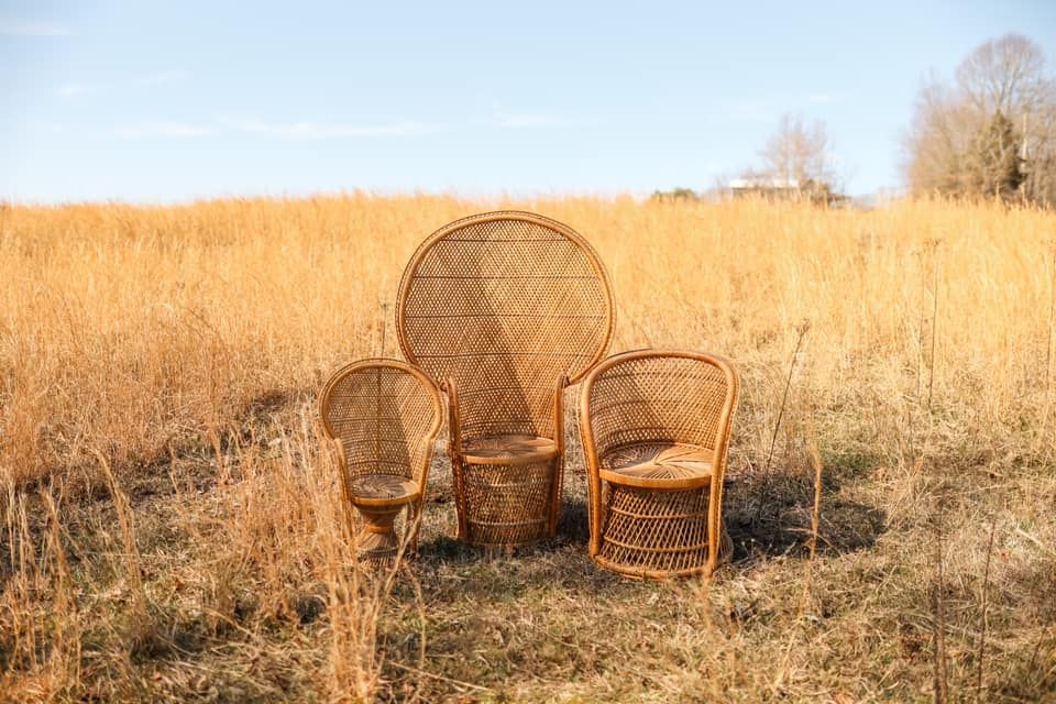 Peacock Chair Rentals Mayme Grace Photography