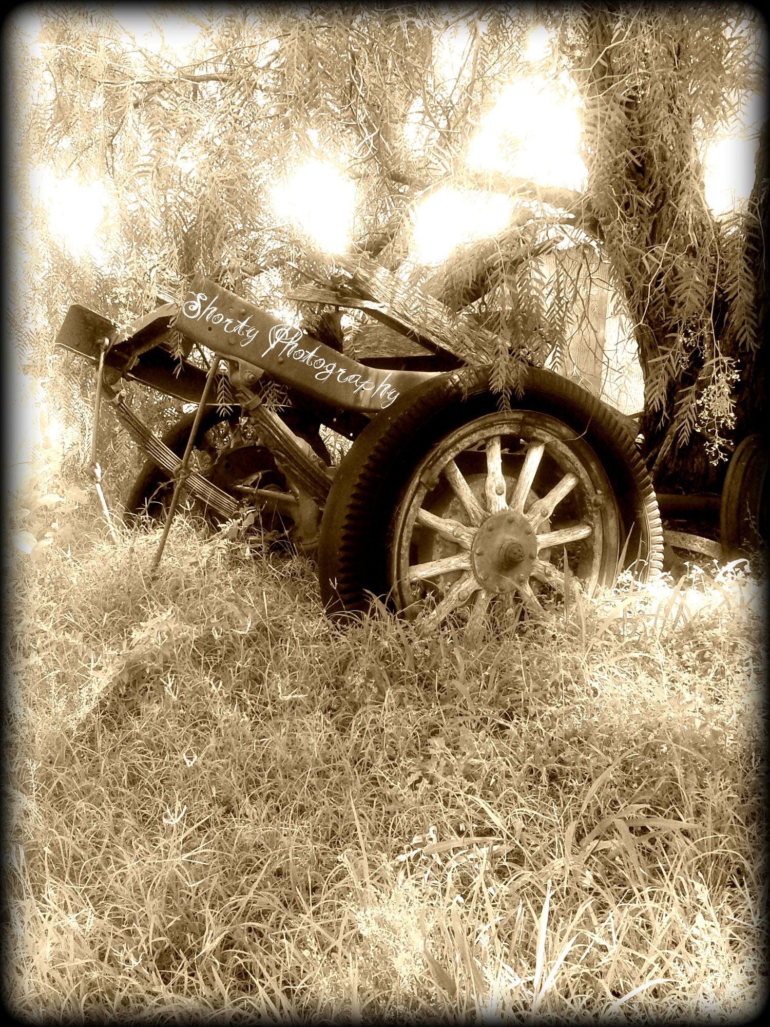 Sepia-toned photograph of an antique wooden wagon wheel in tall grass.
