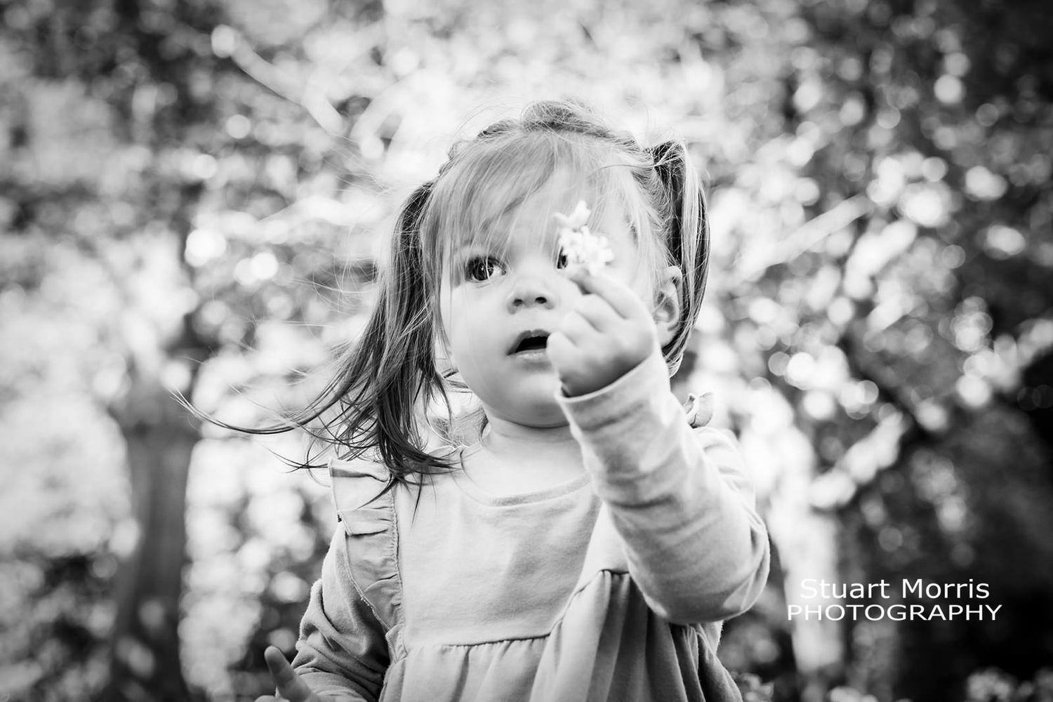 little girls holds up a bluebell she picked at Walton hall. Cheshire portrait session. Stuart Morris Photography.