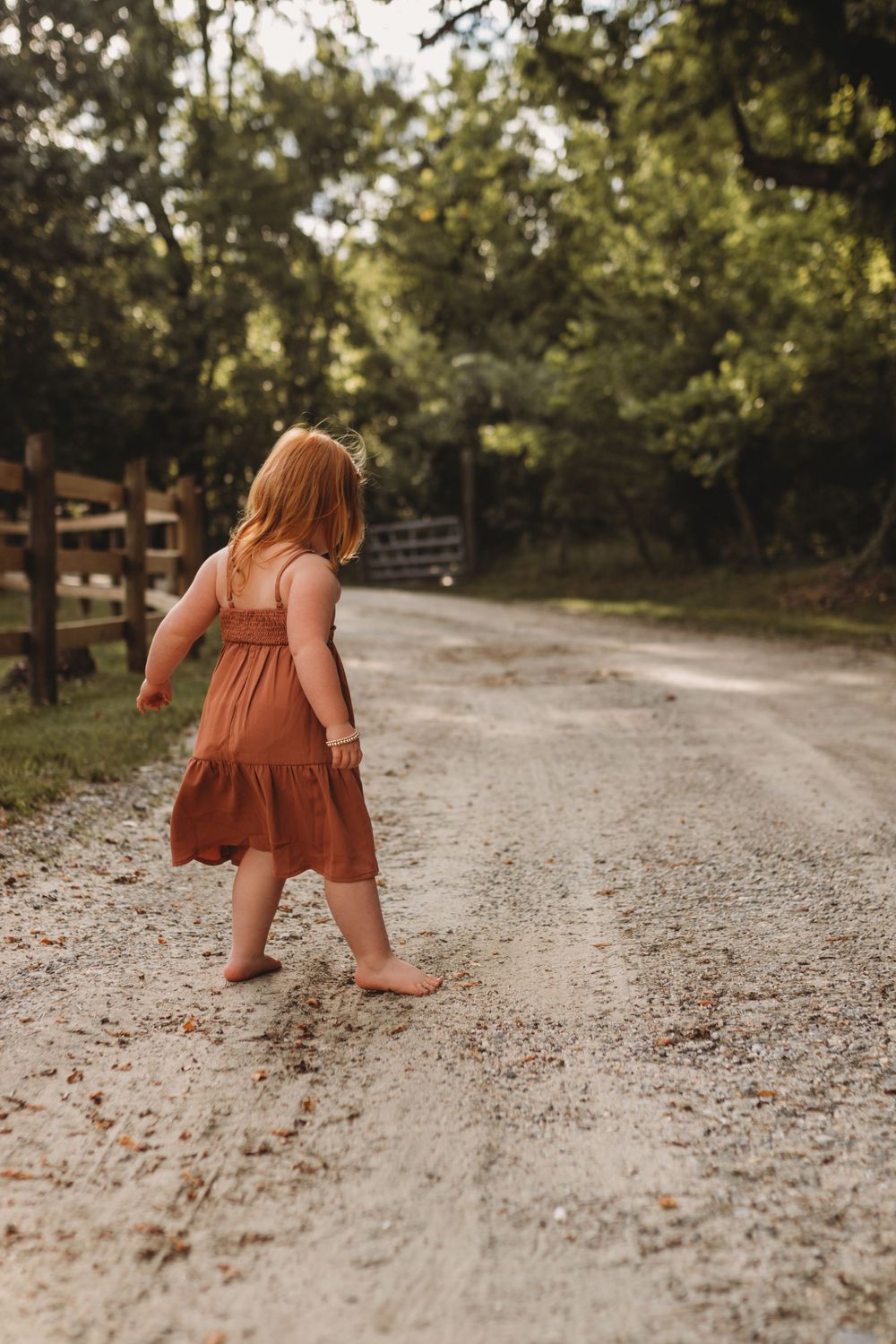 Pricing Mountain Laurel Photography