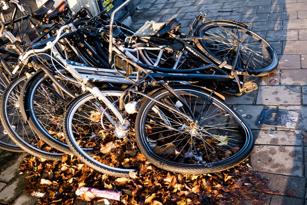 Pile of bicycles fallen on autumn leaves covering cobblestone pavement in Amsterdam.