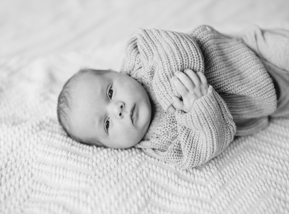 The Hoisington Family of Four janepugsleyphoto