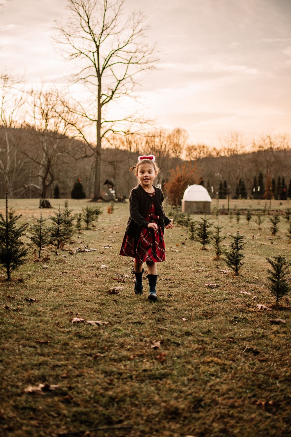Child in festive outfit jumps among young evergreen trees at sunset.