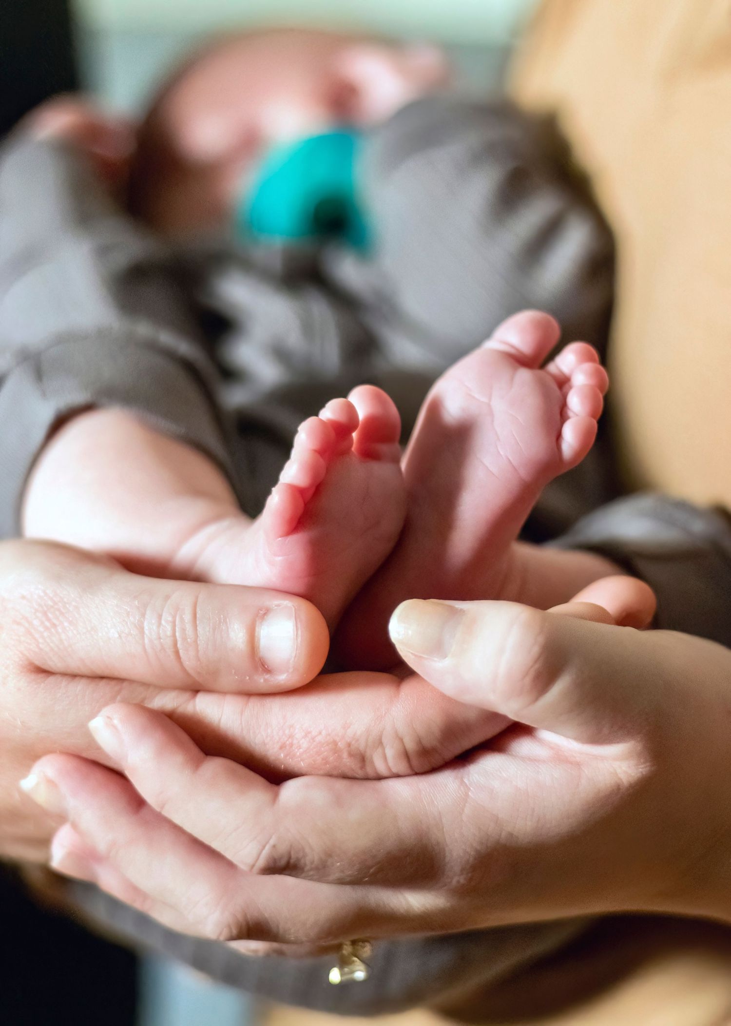Close-up of tiny newborn baby feet being gently cradled in adult hands.
