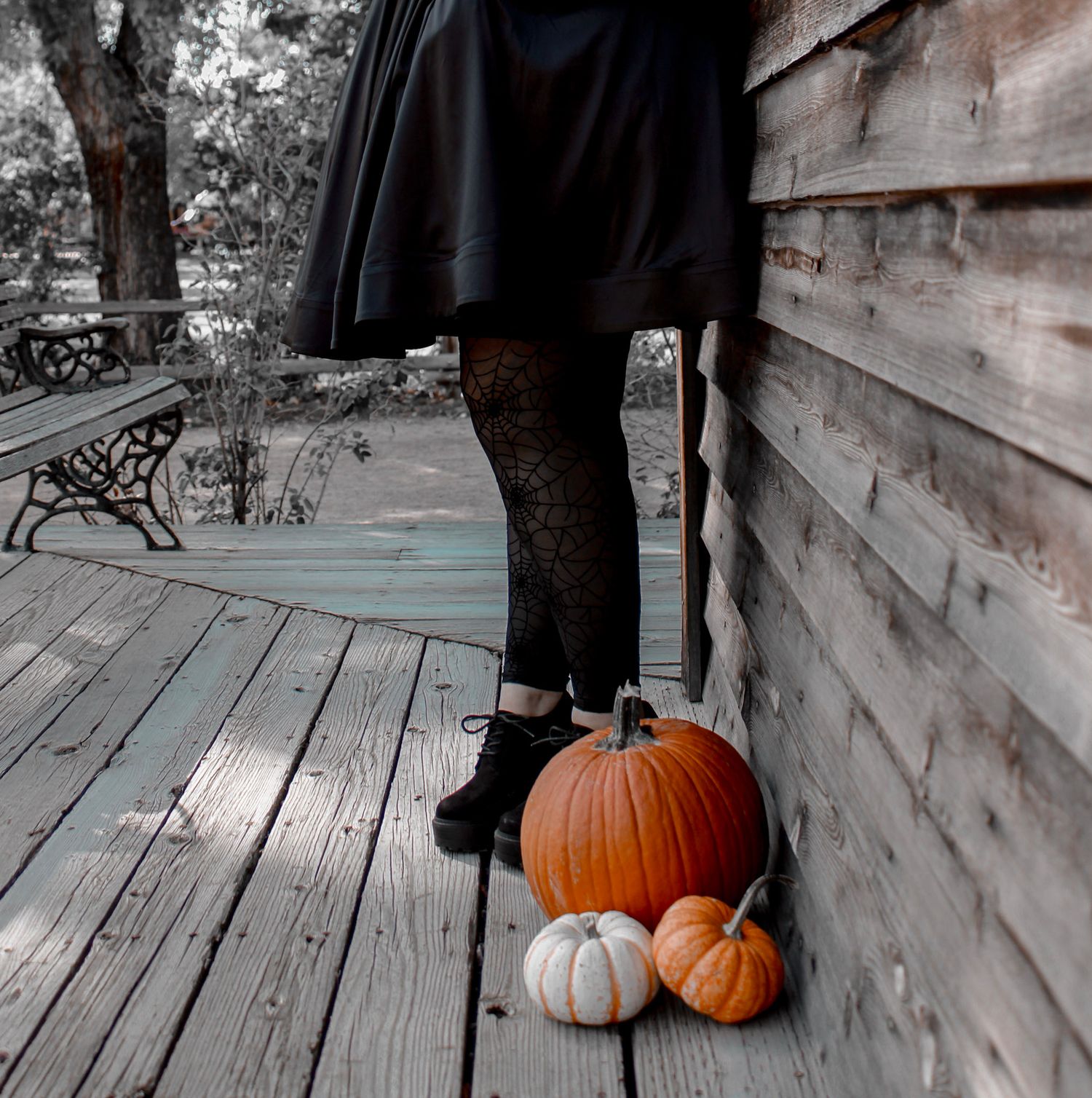 Black and white photo of legs in lace tights with orange pumpkins against rustic wood siding.