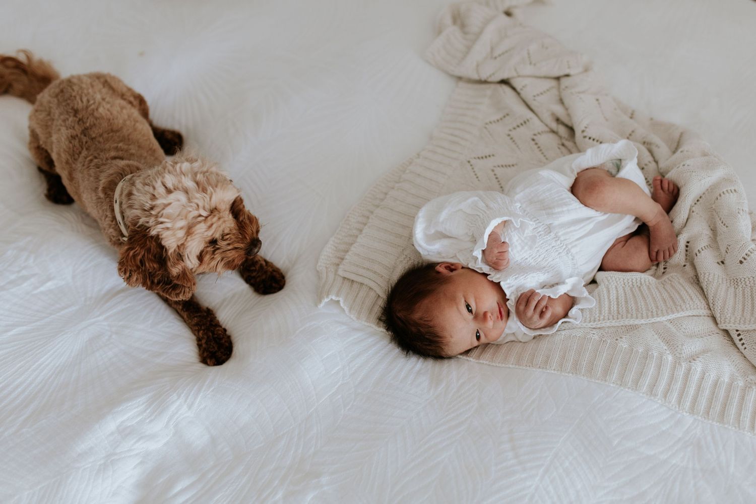 Newborn baby in white outfit lying on knit blanket next to brown cat.