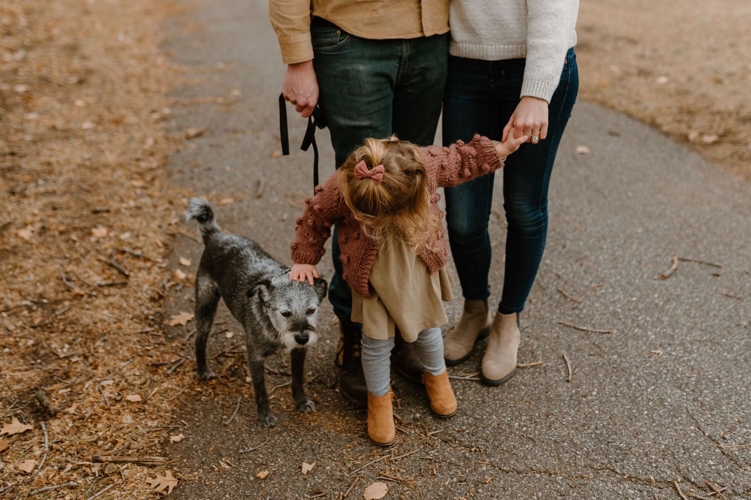 Young child walking with two dogs on autumn path between adult legs.