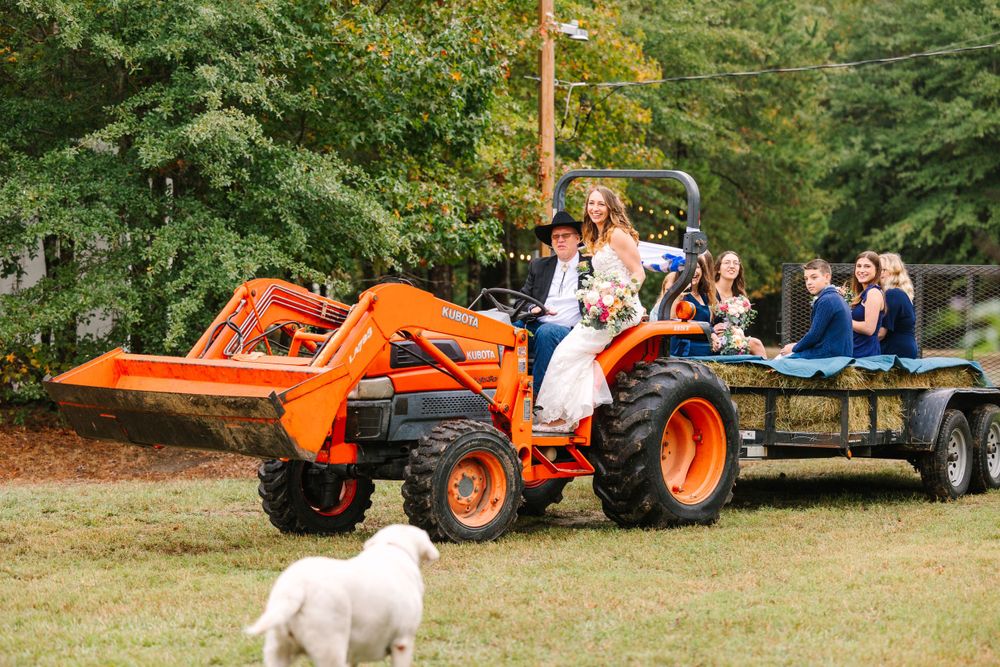 A couple rides an orange tractor pulling guests in a trailer with a white dog in the foreground.